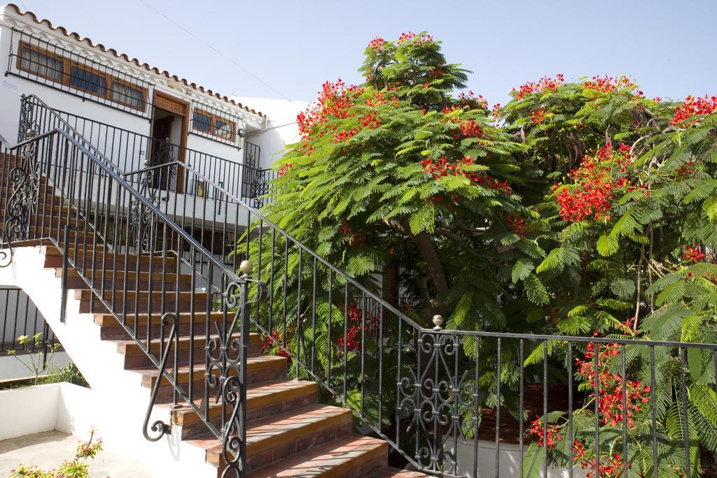 Alsol Las Orquideas Playa del Ingles  Dış mekan fotoğraf