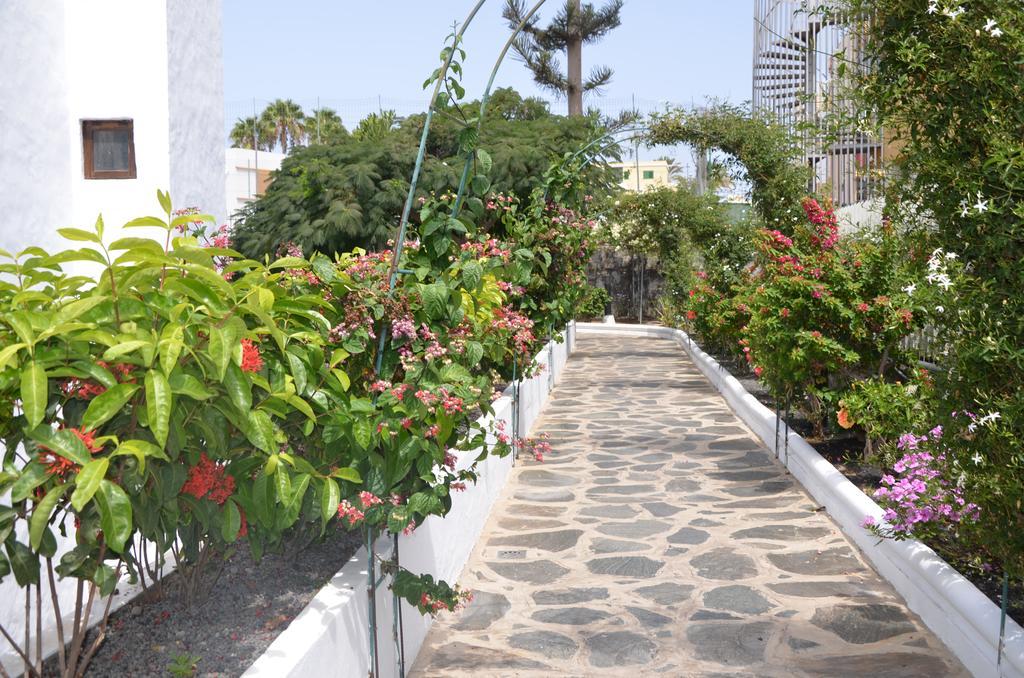 Alsol Las Orquideas Playa del Ingles  Dış mekan fotoğraf